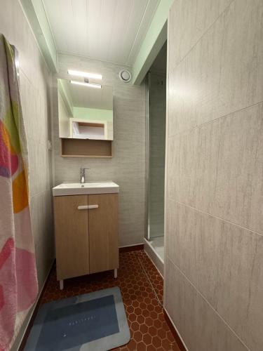 a small bathroom with a sink and a shower at Maison familiale la Parée in Bretignolles-sur-Mer