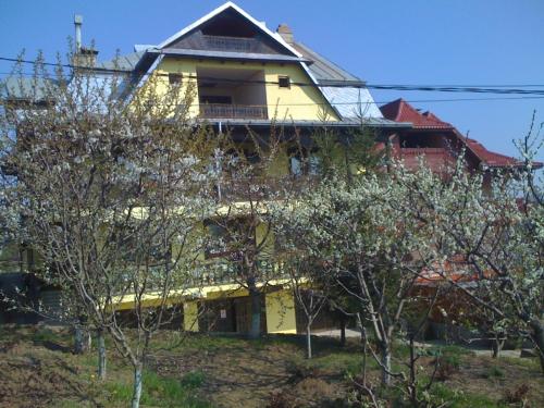 a yellow house with trees in front of it at Pension Garofita in Iaşi