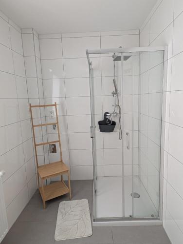 a shower with a glass door in a bathroom at Im Herzen von Hauenstein in Hauenstein