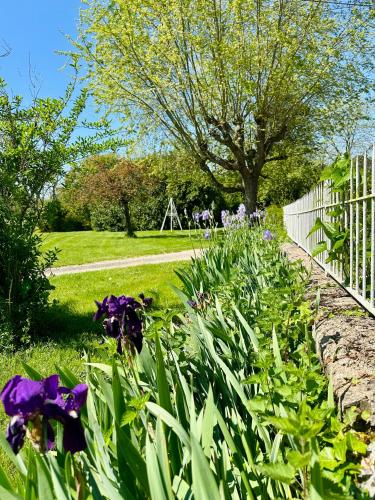 Taman di luar Le Pavillon, Grand Manoir du XVIIe avec Piscine, Bain Nordique et accès privé à la Charente