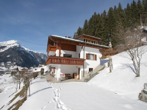 Wohnung in St Gallenkirch beim Skigebiet