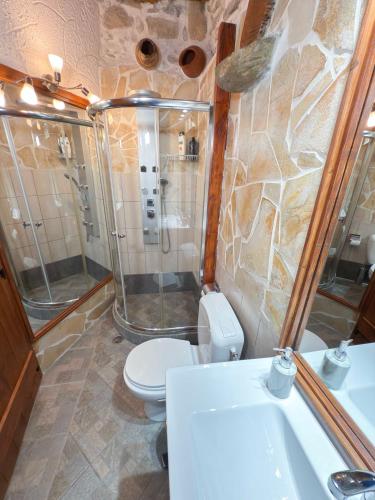 a bathroom with a toilet and a shower and a sink at Villa Olive Tree with Private Pool in Kissamos