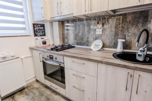 a kitchen with a sink and a stove at Tiki's Bar studio in Bucharest