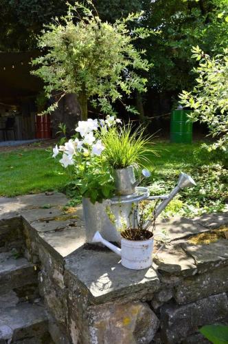 two potted plants sitting on top of a stone wall at OrigiNell - EmotioNell in Ouffet