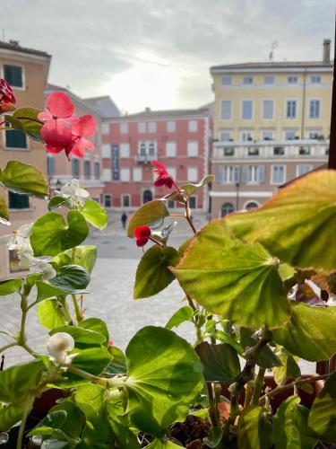 Φωτογραφία από το άλμπουμ του Stylish Studio in Old Town σε Rovinj