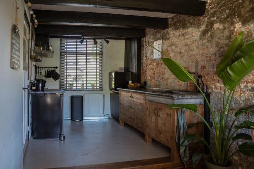 a kitchen with a counter and a sink in a room at Rust en romantiek in Maasland in Maasland