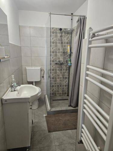 a bathroom with a shower and a toilet and a sink at Podgoria Guesthouse- Camere de închiriat in Oradea