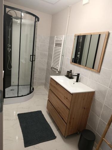 un bagno con lavandino e doccia di Maison rénovée a Dole