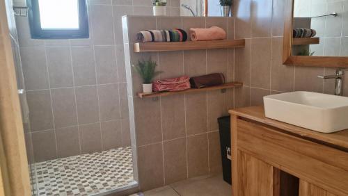 a bathroom with a shower with a sink and a mirror at Bel horizon M&J location voiture sur demande in Saint-Paul