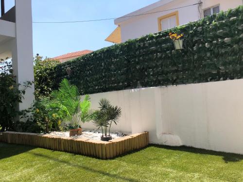 a garden with plants on a white wall at Argyro's vintage House in Spílion