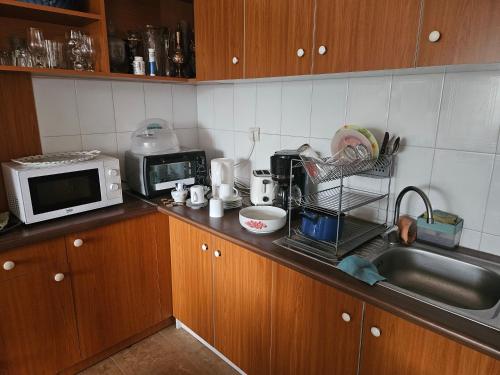 a kitchen counter with a sink and a microwave at Podgoria Guesthouse- Camere de închiriat in Oradea