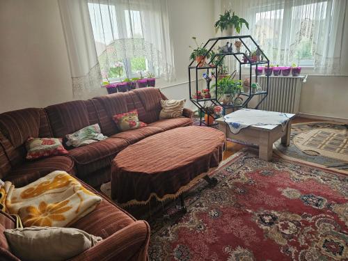 a living room with a couch and a table at Podgoria Guesthouse- Camere de închiriat in Oradea