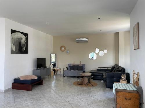 Spacieuse villa dans les pins photo 15