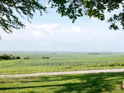 Příroda nedaleko prázdninového domu