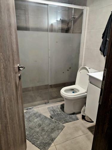 a bathroom with a toilet and a glass shower at Clio's house in Áyioi Dhéka