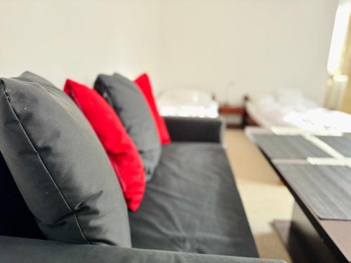 a black couch with red pillows in a living room at Privát Ruženka in Liptovský Mikuláš
