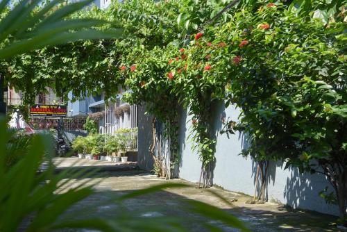 a group of trees with red berries on them at Namaskar Lodge and Homestay in Guwahati