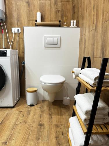 a bathroom with a toilet and a bunch of towels at Apartmán Mácháč in Doksy