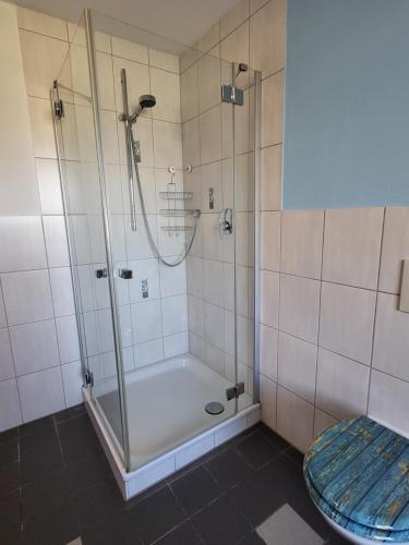 a bathroom with a shower with a tub and a toilet at Ferienwohnung für 5 Personen in Breitenthal Nähe Idar-Oberstein in Breitenthal