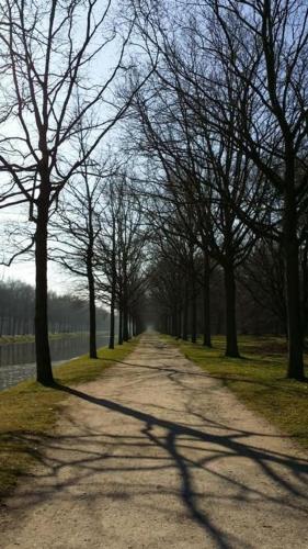 a dirt road with trees on either side of it at Ferienwohnung Reitz Urlaub In Der Heimat Der Brüder Grimm in Fritzlar