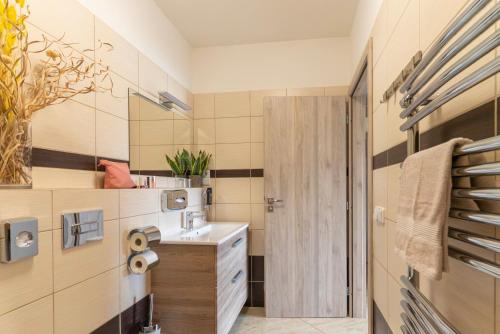 un baño con lavabo y espejo en Hotel Zlechov, en Plumlov