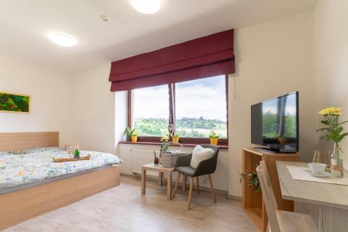 Una televisión o centro de entretenimiento en Hotel Zlechov
