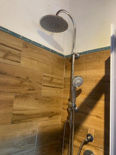 a shower with a shower head in a bathroom at Rustichello G&P Tuscany in Lorenzana