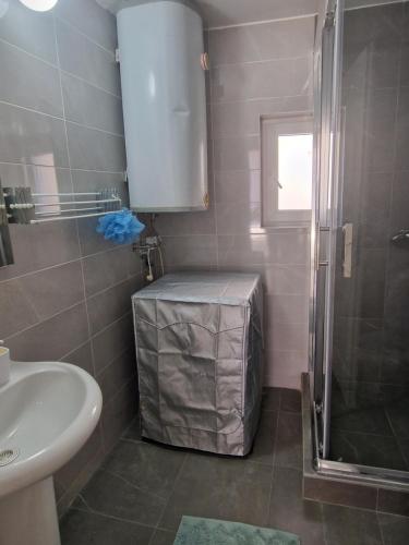a bathroom with a shower and a toilet and a sink at Zed apartmani Leskovac in Leskovac