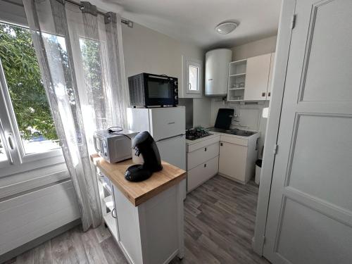 cocina con nevera y encimera con microondas en T4 proche de Neyrpic, en Saint-Martin-dʼHères