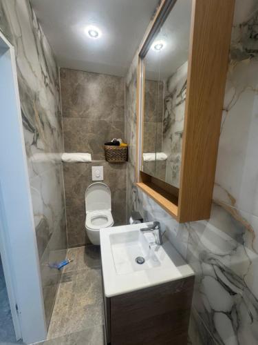a bathroom with a sink and a toilet and a mirror at Downtown Apartment in Bonn