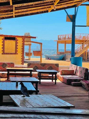 Galería fotográfica de Rosa camp en Nuweiba