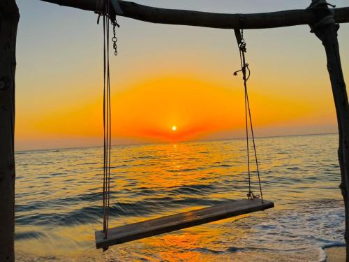 Galería fotográfica de Rosa camp en Nuweiba