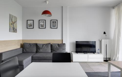 a living room with a gray couch and a tv at Poznań Apartments Towarowa in Poznań