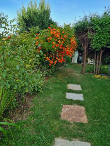Appartement avec jardin