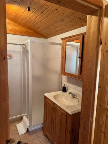 a bathroom with a sink and a shower at Ferienwohnung Top 5 in Altmünster
