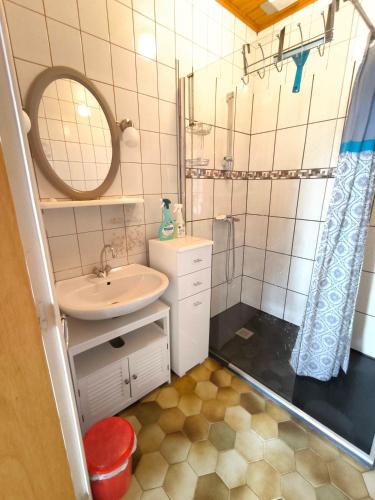 a small bathroom with a sink and a mirror at la berlie du jura in Étival