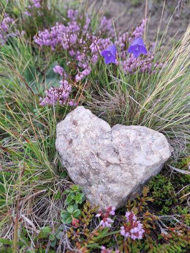 a heart shaped rock sitting in the middle of flowers at Berg-Arche in Sankt Margarethen im Lavanttal