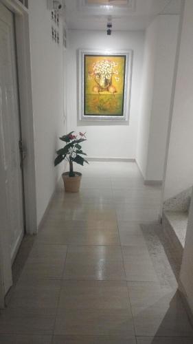 a hallway with a painting on the wall and a plant at Hospedarte Cali Sur in Cali
