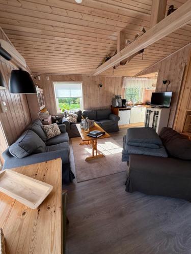 Posezení v ubytování Fantastic cabin in the woods & boat for rental or 2 days free boat on 7 days stay