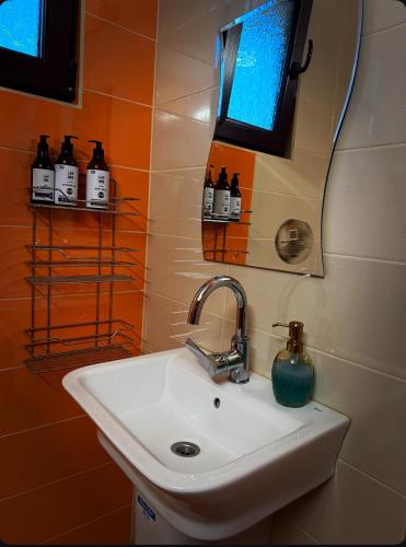a bathroom with a sink and a mirror at Guest House Vergie, Fully Private in Sapareva Banya