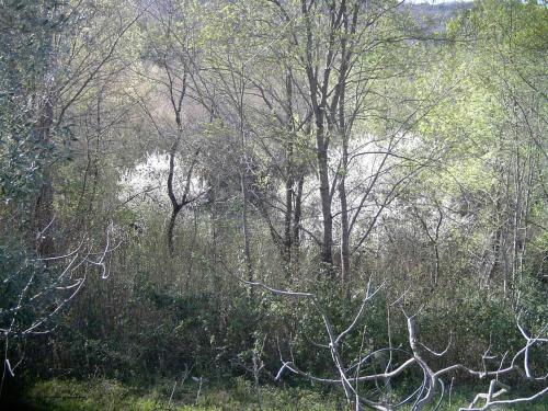 Φυσικό τοπίο κοντά σε αυτό το κατάλυμα σε φάρμα