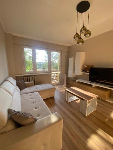 Gallery image of Bełchatów apartment in Bełchatów