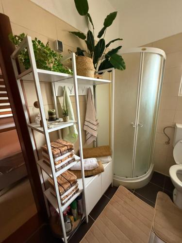 a bathroom with a shelf with towels and a shower at Lux Apartman David Dobra voda in Bar