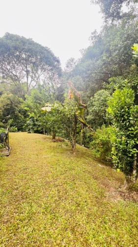 Taman di luar Dharma Casa Holistica