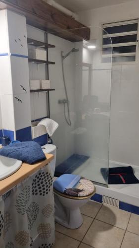 a bathroom with a toilet and a glass shower at Mi Plézi Appartement au Diamant. in Le Diamant