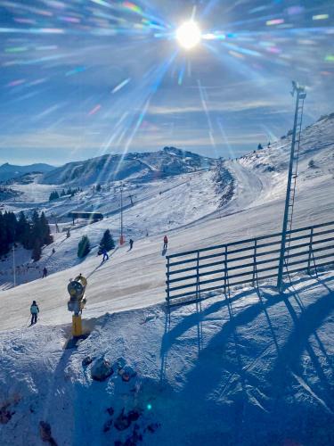 a fire hydrant in the snow on a ski slope at Apartment U150 - Aparthotel Vučko - Private Host in Jahorina