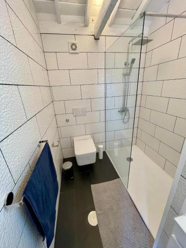 a bathroom with a shower and a toilet at Casa do Nitsa in Corvo