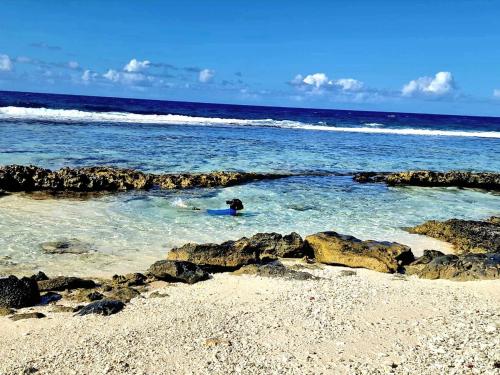 a person swimming in the water at the beach at Charmant logement avec accès privé à la plage in Moorea
