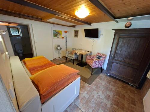 Un dormitorio con una cama y una mesa con una silla. en Pavlov24 - Zahradní domečky, en Pavlov