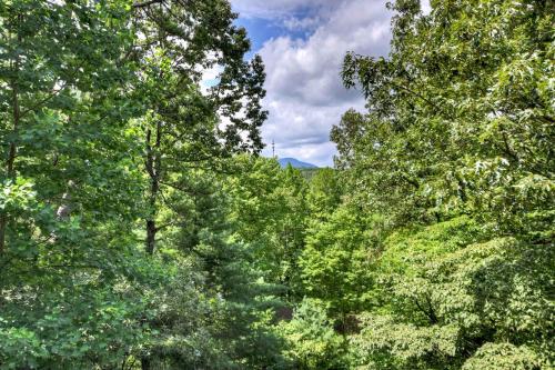 a view of a forest of trees with at New Mtn Views Hot Tub Arcade Chess in Sautee Nacoochee